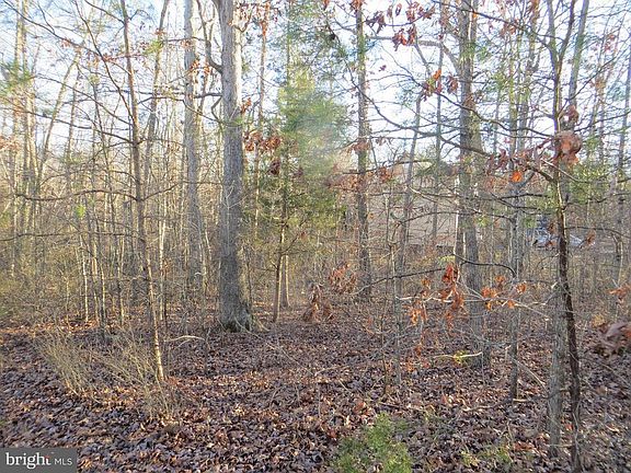 View into level lot