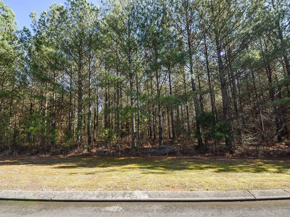 164 White Water Run Ln #148, Ocoee, TN 37361