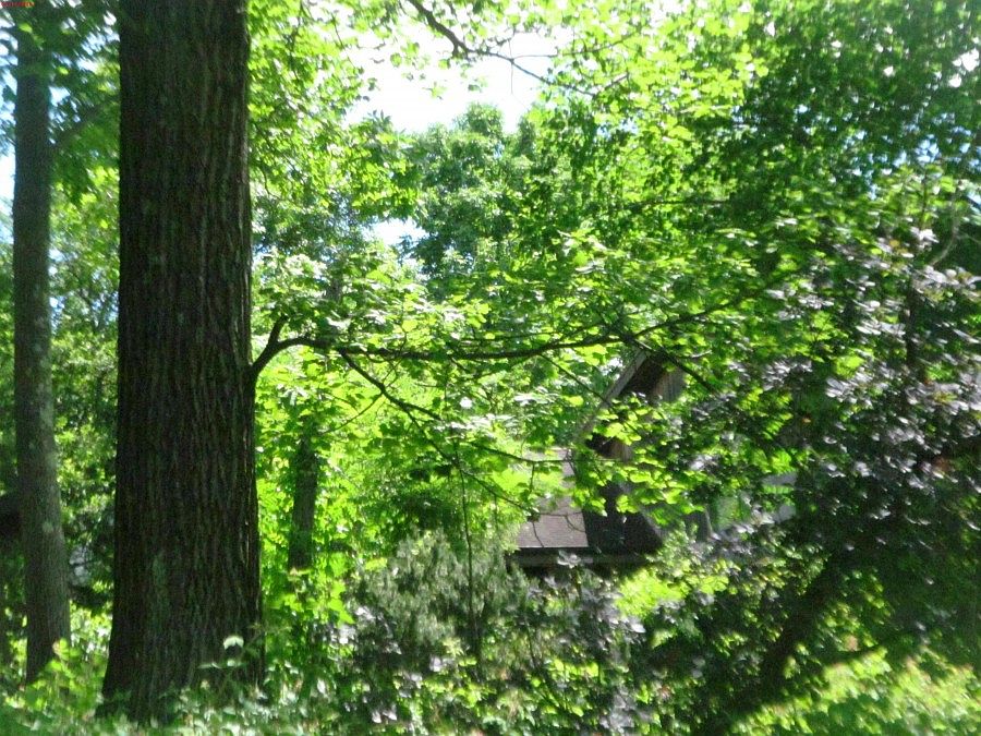 2nd image of 20 Cambridge Dr