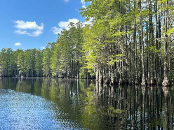 0 Bollinger Rd, Vernon, FL 32462