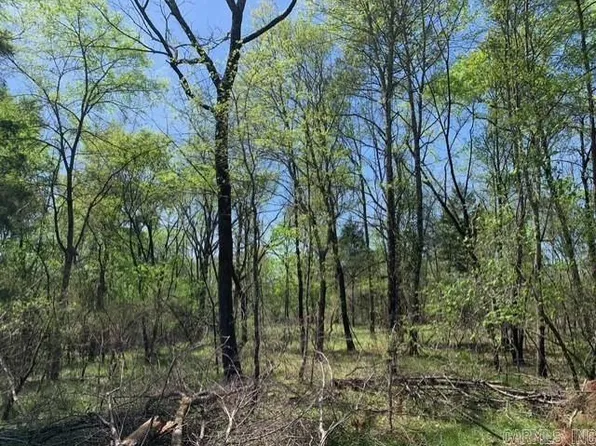 TRACT 3 Highway 11395 #84, Bismarck, AR 71929