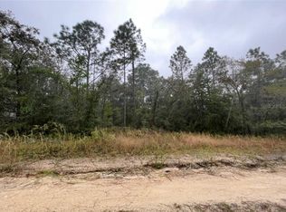 NE 159th Ave, Williston, FL 32696