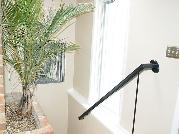 2nd image of 12539 Basswood Dr