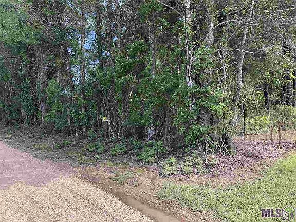 2nd image of 9303 John Thomas Ln Lot F