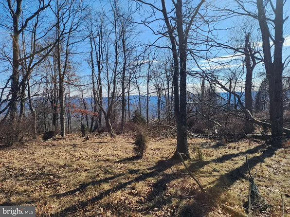 111 River Rdg, Yellow Spring, WV 26865