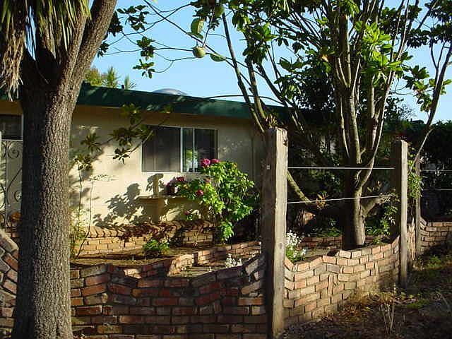 Front, kitchen window and garden wall.