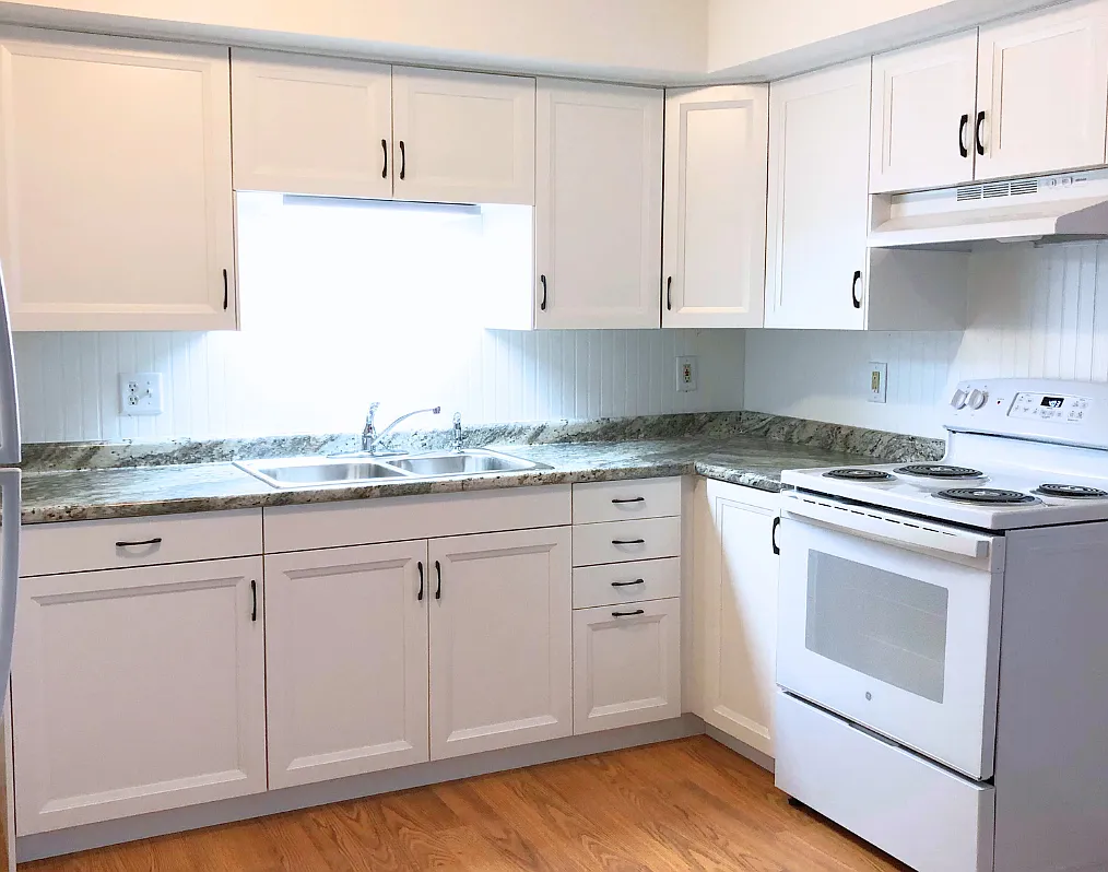 1 bed, $650 — Photo 3