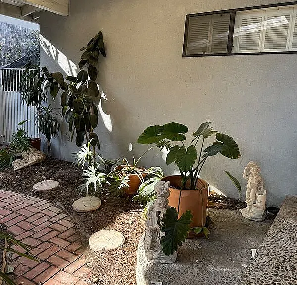 17249 Flanders St — Photo 2