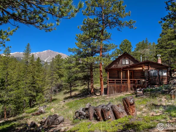 1217 Big Owl Rd, Allenspark, CO 80510