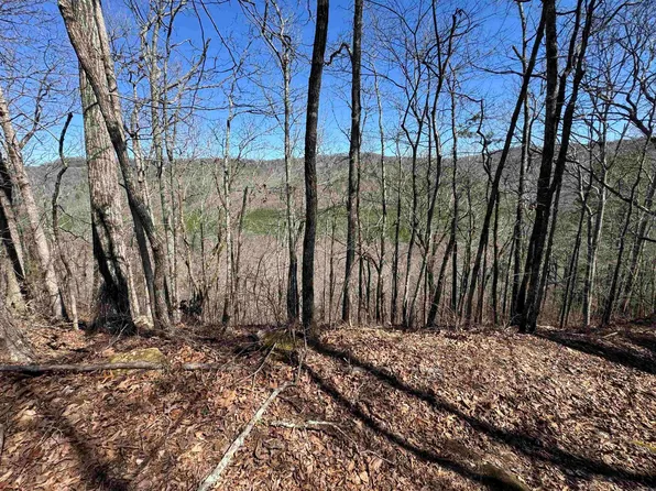 5210 Oyler Rd, Clinton, AR 72031