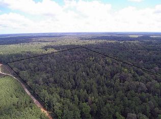 3904 Richardson Rd E, Livingston, TX 77351