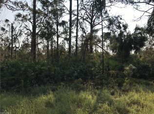 2115 Columbus Ave, Alva, FL 33920