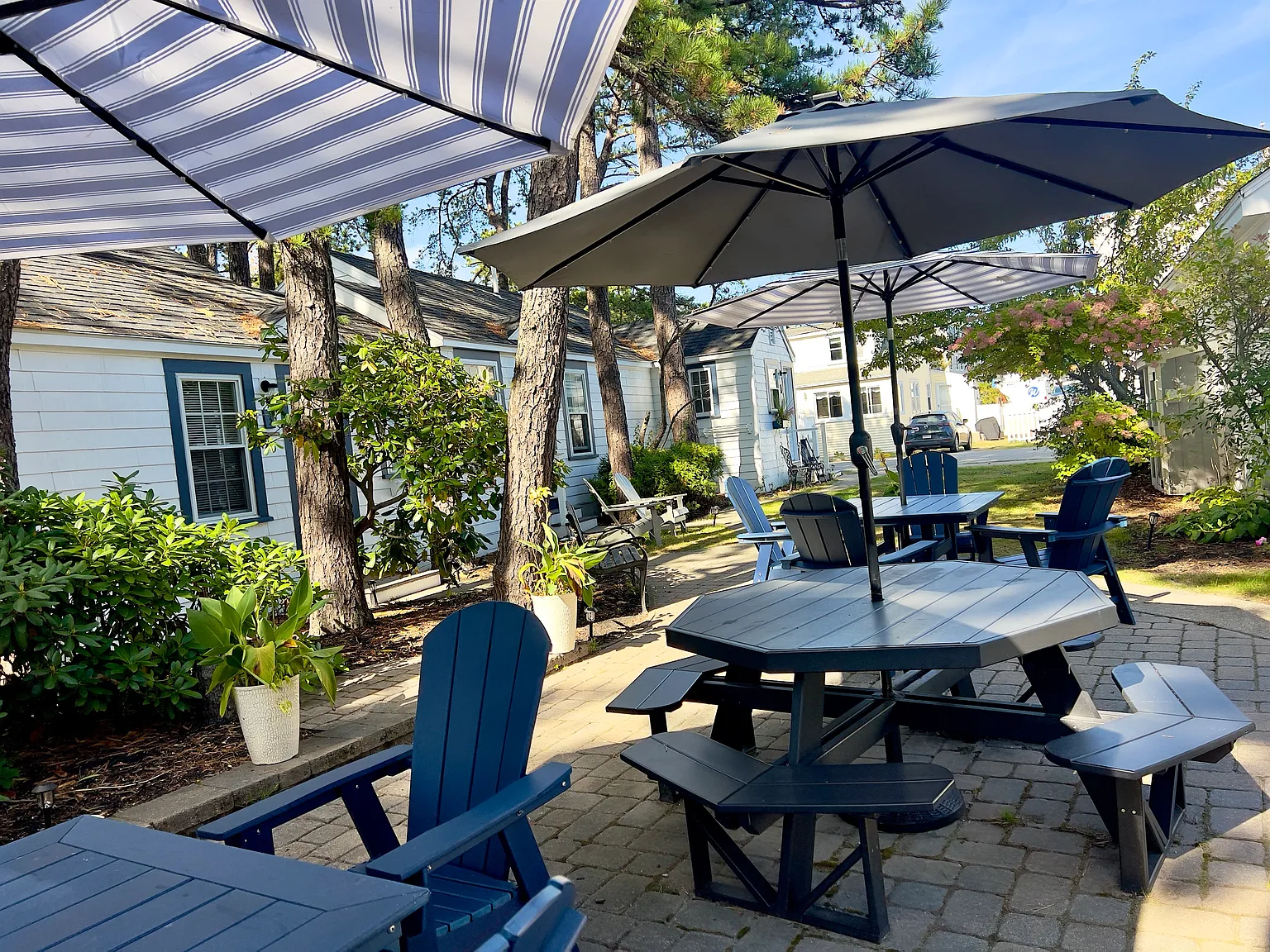 1 bed, 475 sqft, $2,000 — Photo 2