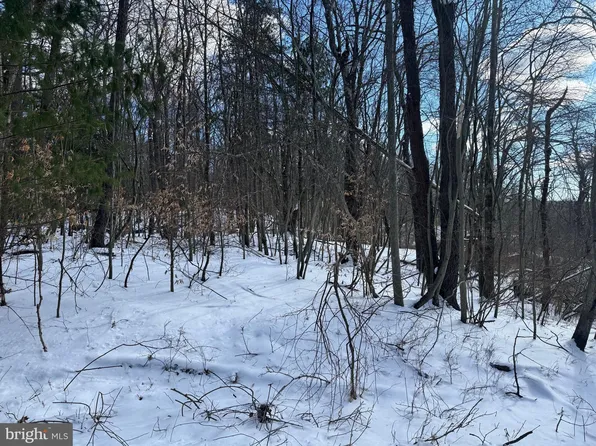 0 River Ct, Pocono Lake, PA 18347