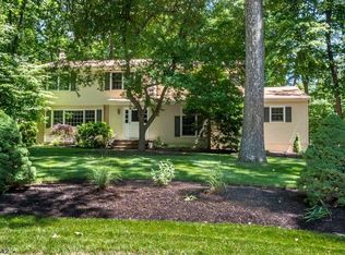 8 Shadetree Pl, Long Valley, NJ 07853