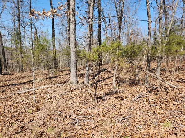 000 Powell Blvd Lot 8, Cedar Creek, MO 65627
