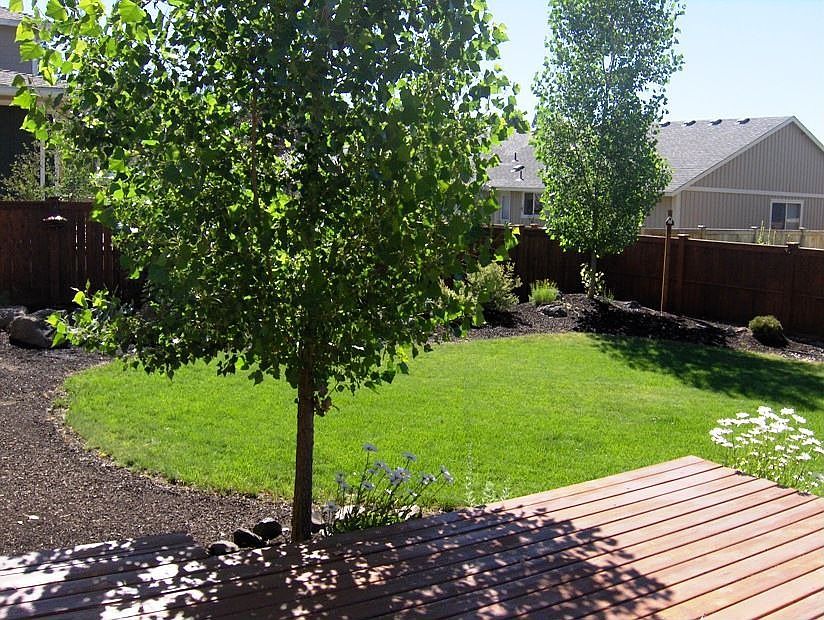 Large landscaped back yard with deck
