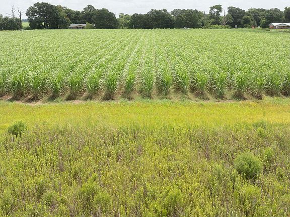 4th image of E State Highway 338 Lot 5-A