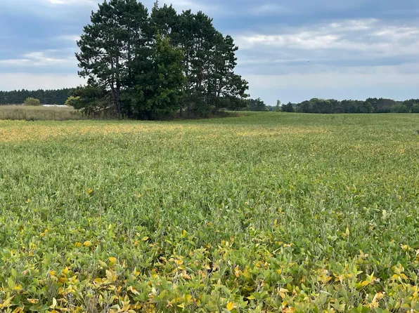 Verdin St NW, Cambridge, MN 55008