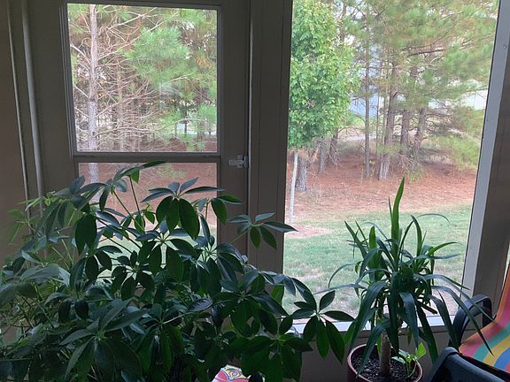 screened porch & back yard