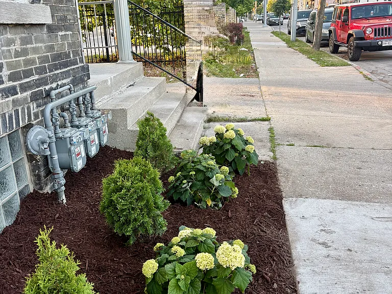 Front Garden