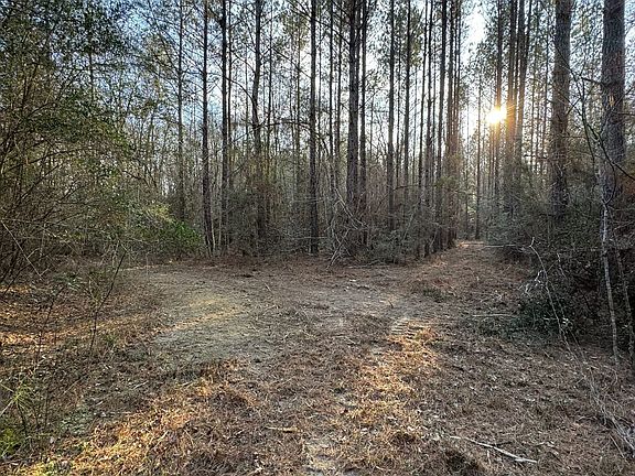 Photo Feb 13 2026 4 17 12 Pm