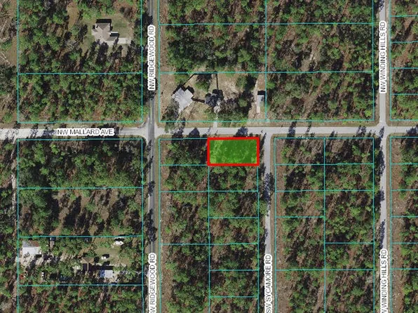 NW Mallard Avenue & Sw Sycamore Rd #1, Dunnellon, FL 34431