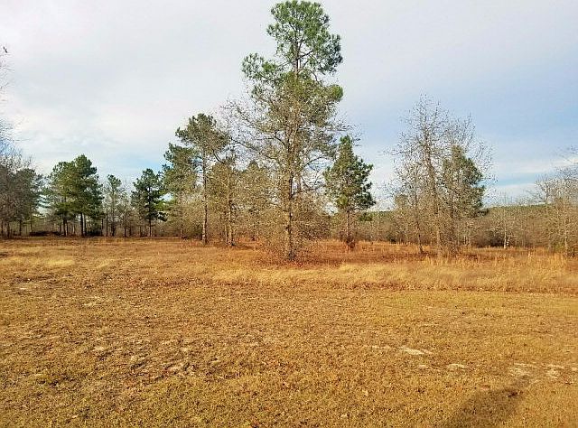 1st image of 6 Chestnut Brown Ct