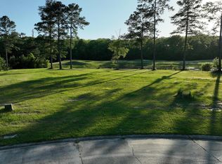 23282 Noble Oak Dr, Springfield, LA 70462