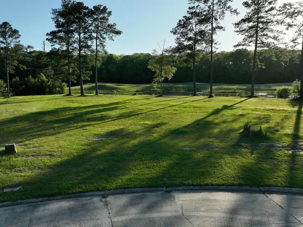 23282 Noble Oak Dr, Springfield, LA 70462