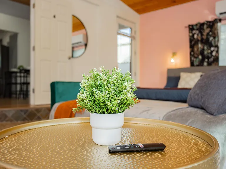 2205 Santa Paula Dr — Photo 47