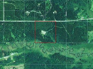 Tbd East Rd, Side Lake, MN 55781