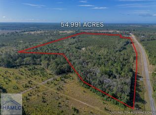 TRACT 7 Kinnett Rd, Jacksonville, GA 31544