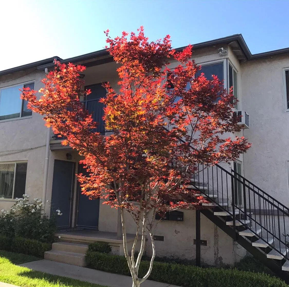 125 S Bushnell Avenue — Photo 1