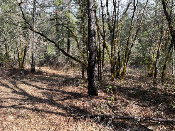 3115 Rockydale Rd, Cave Junction, OR 97523