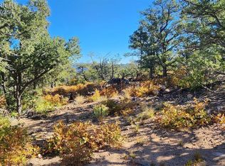 L 42nd Trl, Cotopaxi, CO 81223