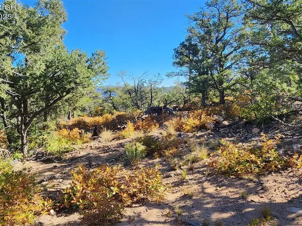 L 42nd Trl, Cotopaxi, CO 81223