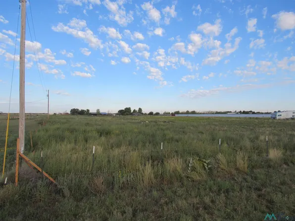 10409 E Meadowlark St, Hobbs, NM 88242