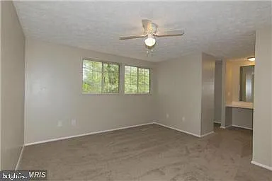 11556 Ivy Bush Ct — Photo 12