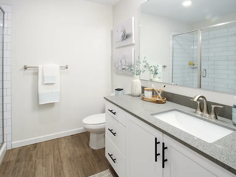 Canopy Bathroom