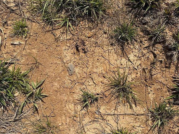 5th image of 0 Hayes Nute Rd