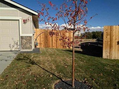 3rd image of 11470 Wilamette Way