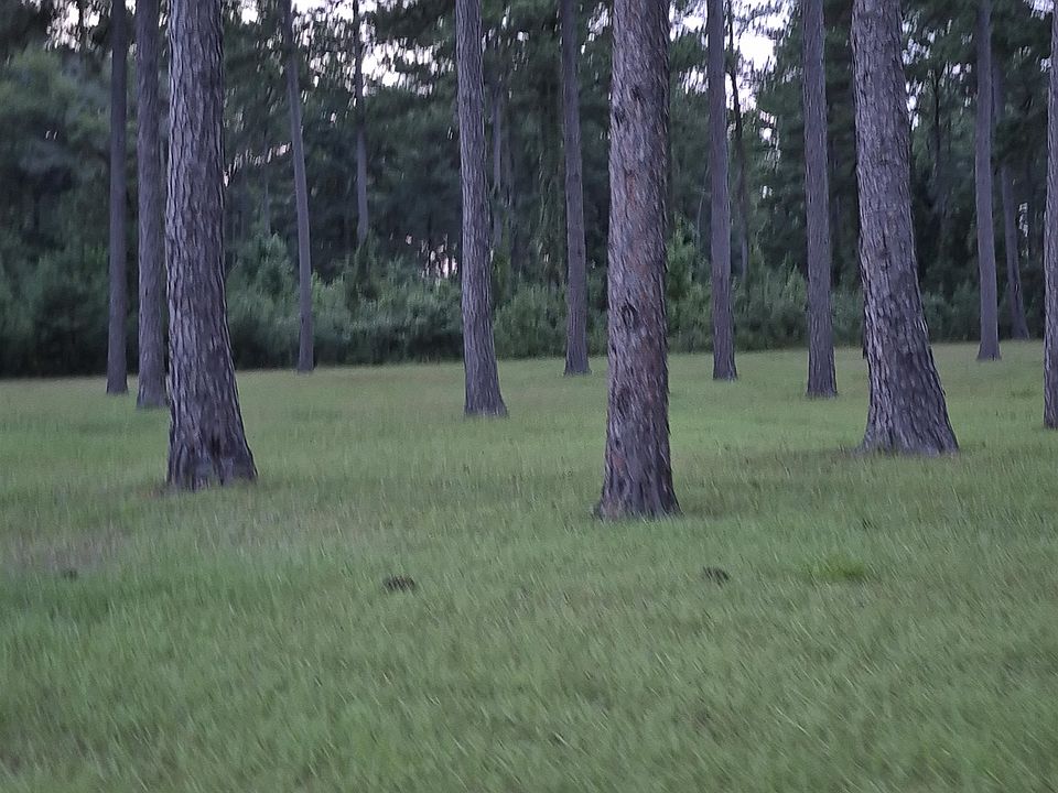 2nd image of 0 Bush Isle Rd