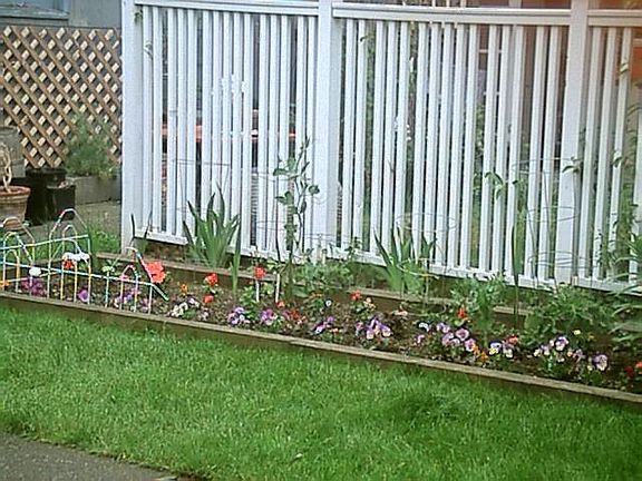 Veg garden area
