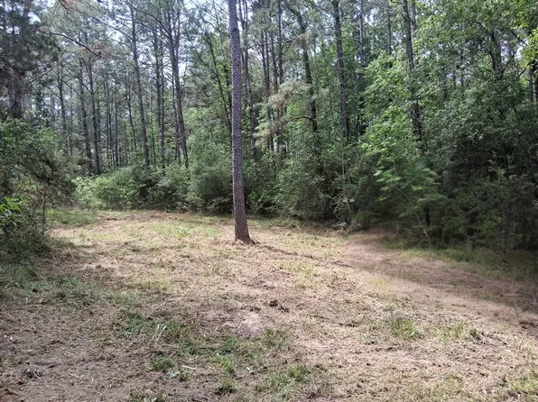 Highway 69, Zavalla, TX 75980