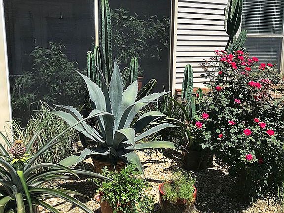 Outside Florida Room