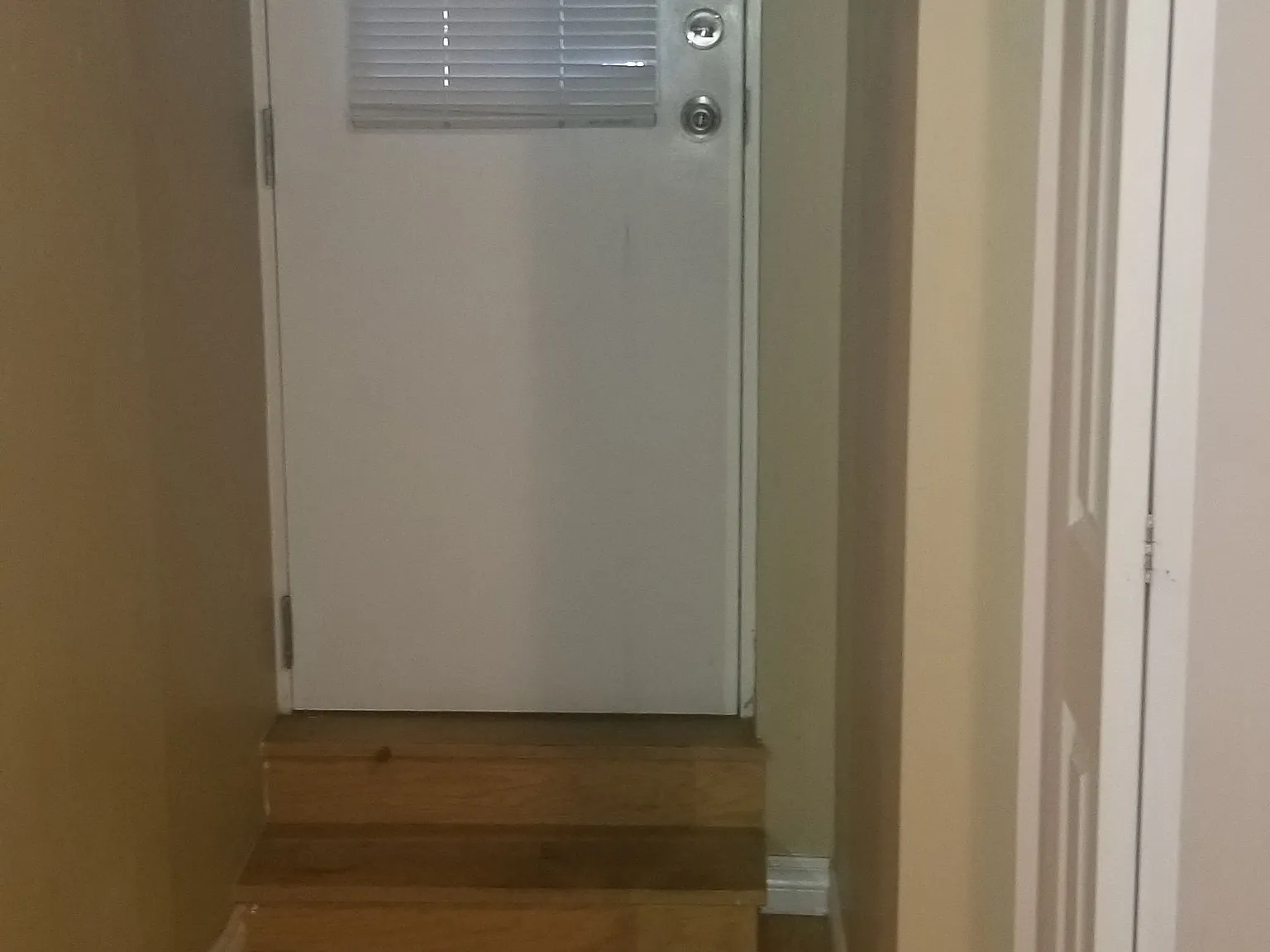 1 bed, $1,900 — Photo 2