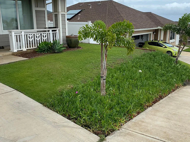 42 Ia Iki St — Photo 13