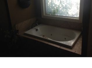 182 Meadow Ridge Ln, Rogersville, AL 35652