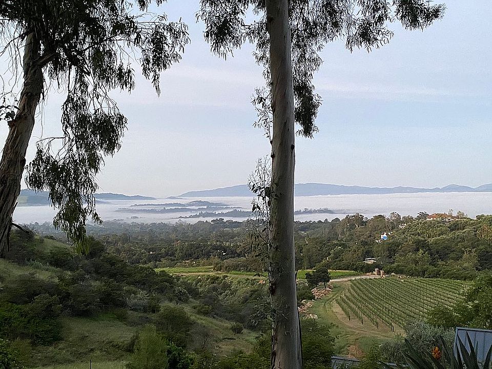 Southwest view, spring